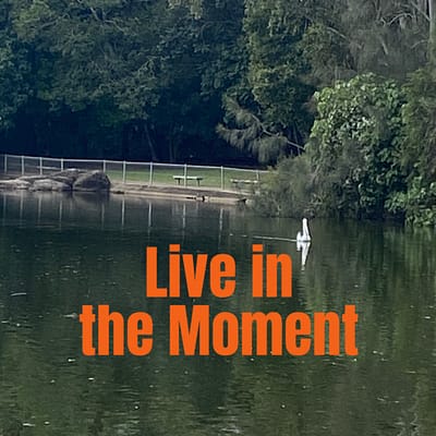 Live in the moment