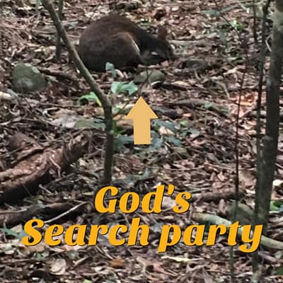 God’s search party