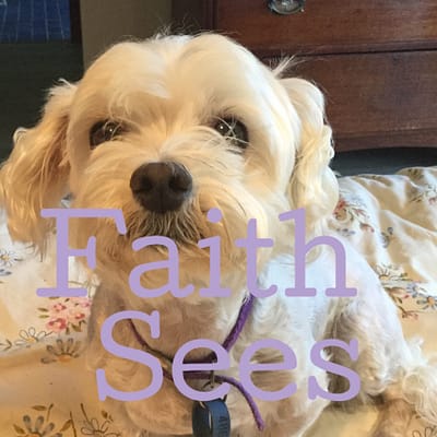 Faith sees