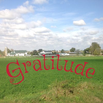 Gratitude