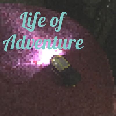 Life of adventure