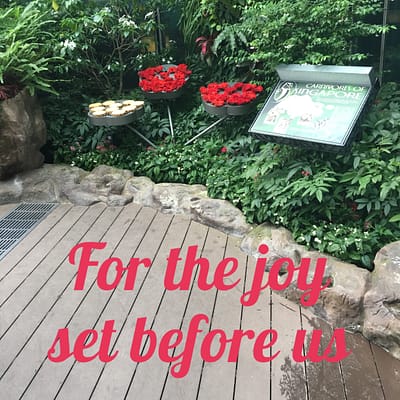 For the joy set before us