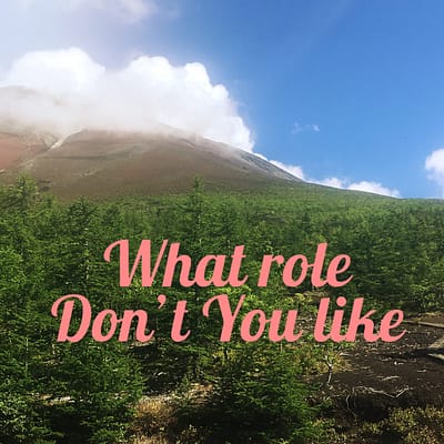 What role Don’t You like