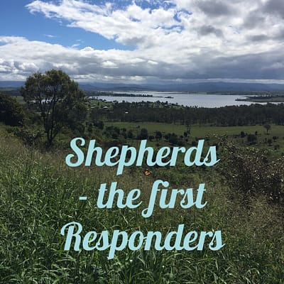 Shepherds – the first responders