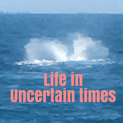 Life in uncertain times