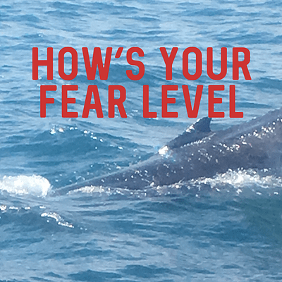 How’s your fear level