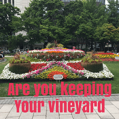 Are you keeping your vineyard?
