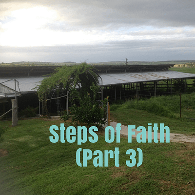 Steps of faith (part 3)