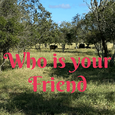 Who is your friend