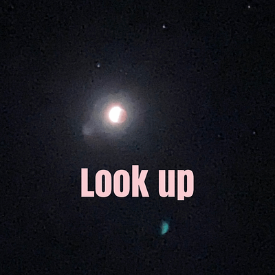 Look up