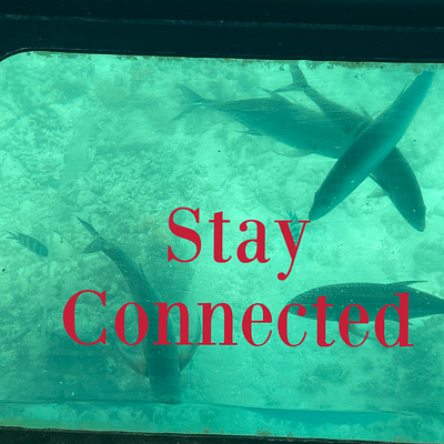 Stay connected