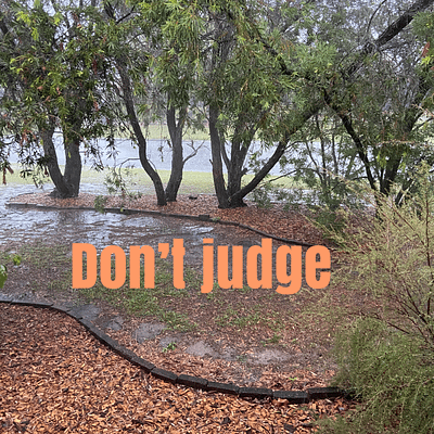 Don’t judge