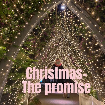 Christmas – the promise