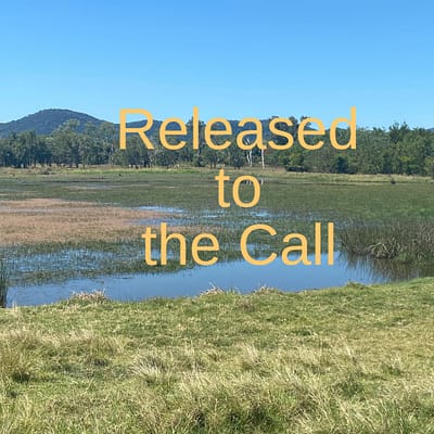 Released to the call