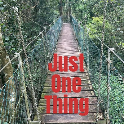 Just one thing
