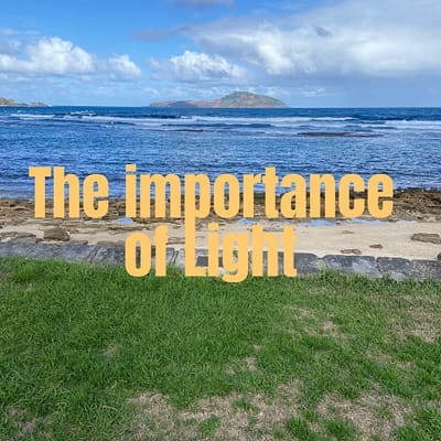 The importance of light