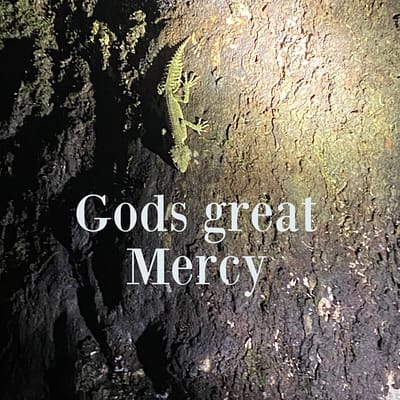 Gods great mercy