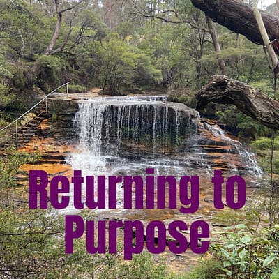 Returning to purpose