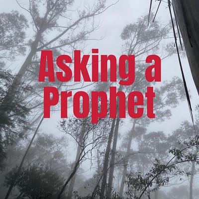 Asking a prophet