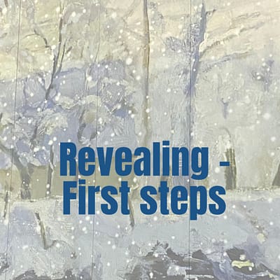 Revealing – first steps