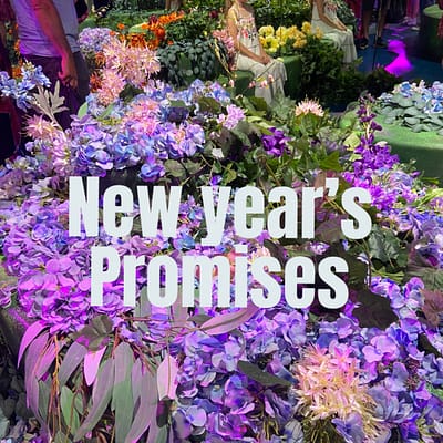 New year’s promises