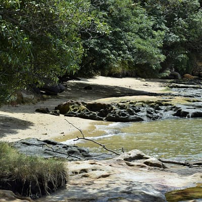 Advice to Your Teenage Self