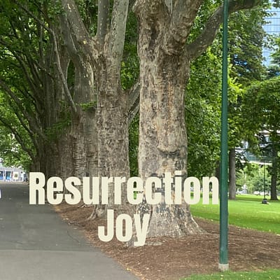Resurrection joy