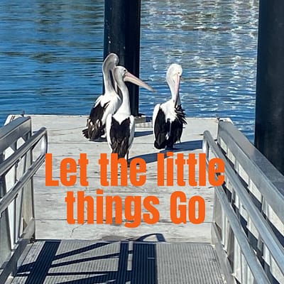 Let the little things go