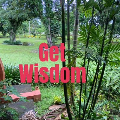 Get wisdom