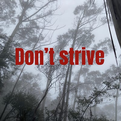Don’t strive