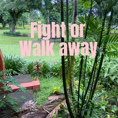 Fight or walk away