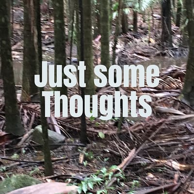 Just some thoughts