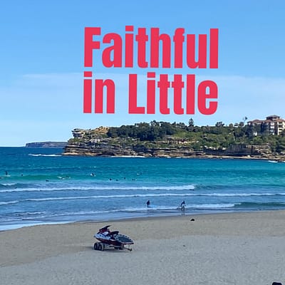 Faithful in little