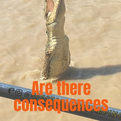 Are there consequences