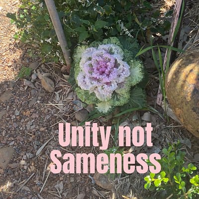 Unity not sameness