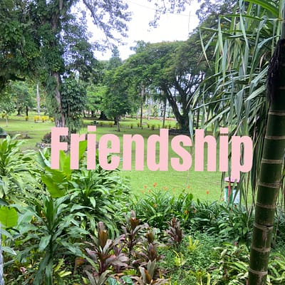 Friendship
