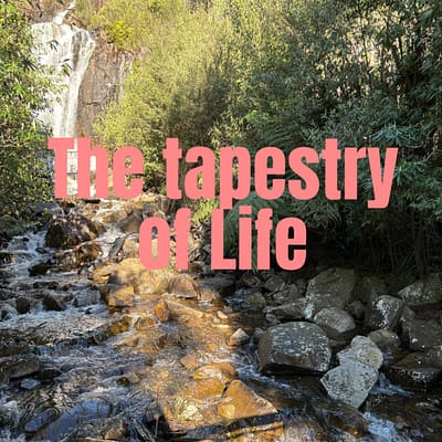 The tapestry of life