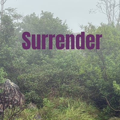 Surrender