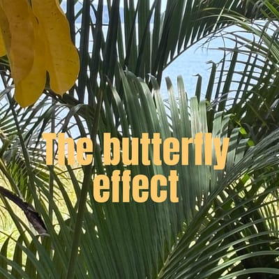 The butterfly effect