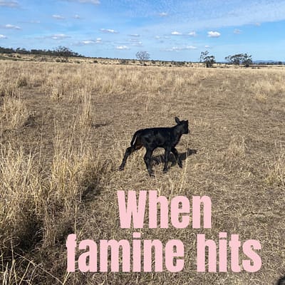 When famine hits