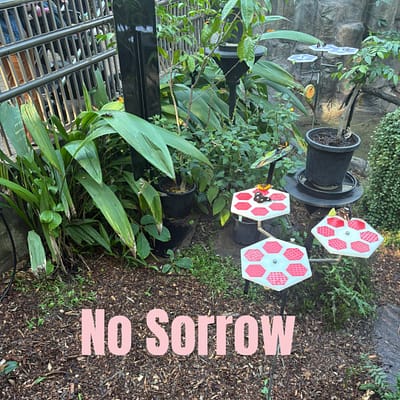 No sorrow