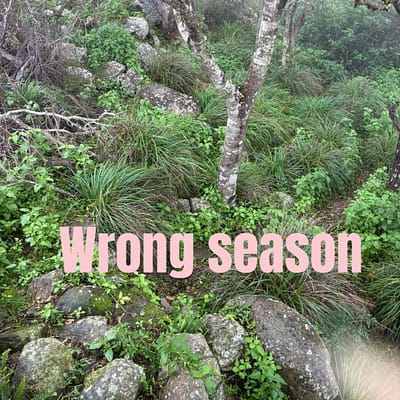 Wrong season
