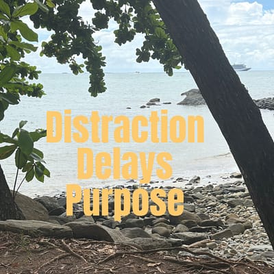 Distraction delays purpose