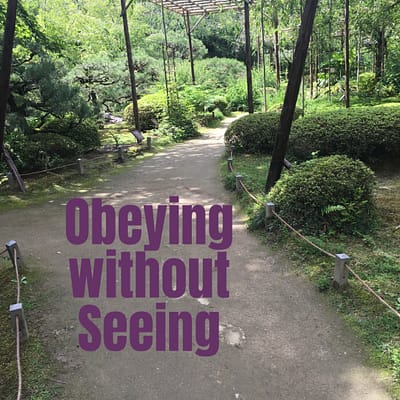 Obeying without seeing