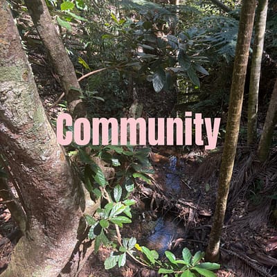Community